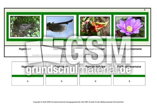 Setzleiste-zusammengesetzte-Frühlingswörter 9.pdf